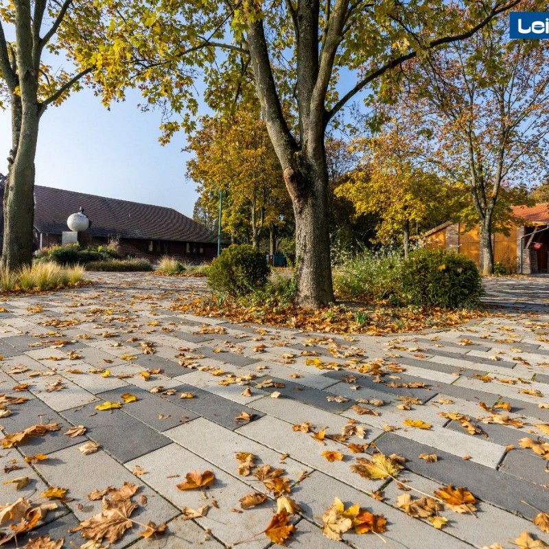 carbonszürke, középszürke