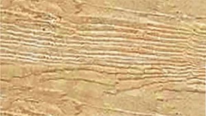 Viastein Via Holz térkő - 8 cm (faerezet felület, Color & Clean Protect védelemmel) - Kőris