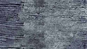 Viastein Via Holz térkő - 8 cm (faerezet felület, Color & Clean Protect védelemmel) - Ében