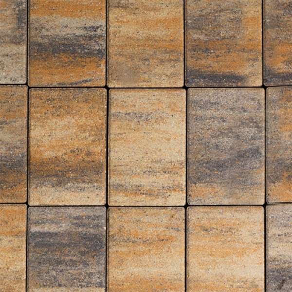 SW Ingókő térkő 5 cm - Kagyló