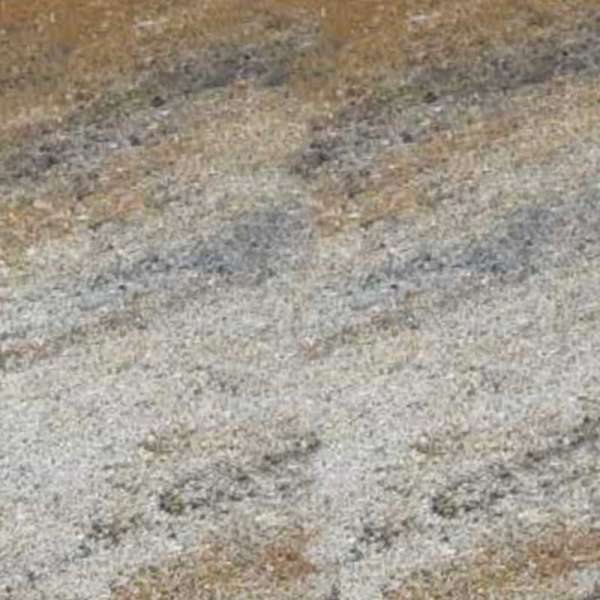 SW Hernádkő térkő 6 cm - Kagyló